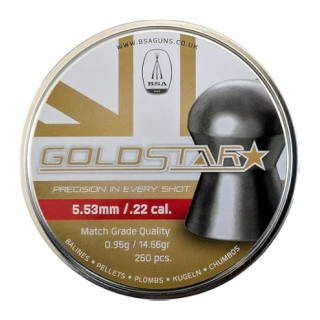 BSA .22 Goldstar Pellets