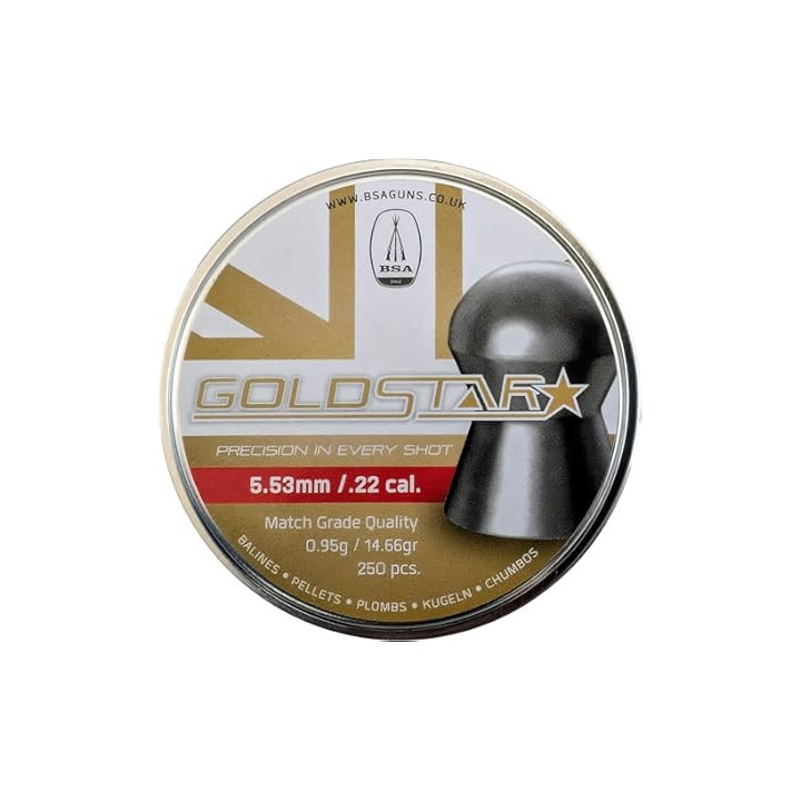 BSA .22 Goldstar Pellets